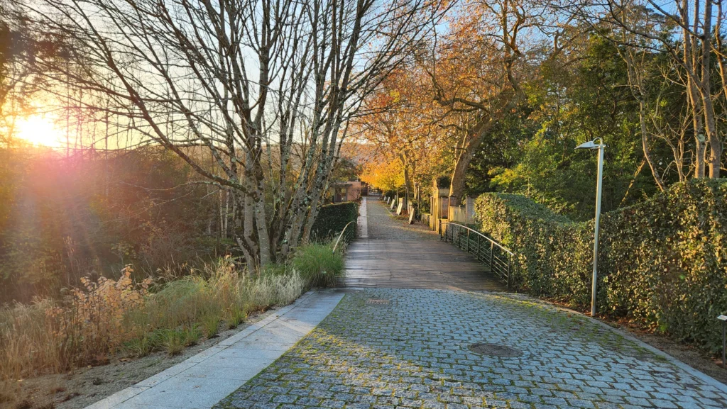 Círculo Hontoria - Arquimea - Jardín Botánico - Asturias Hub Defensa